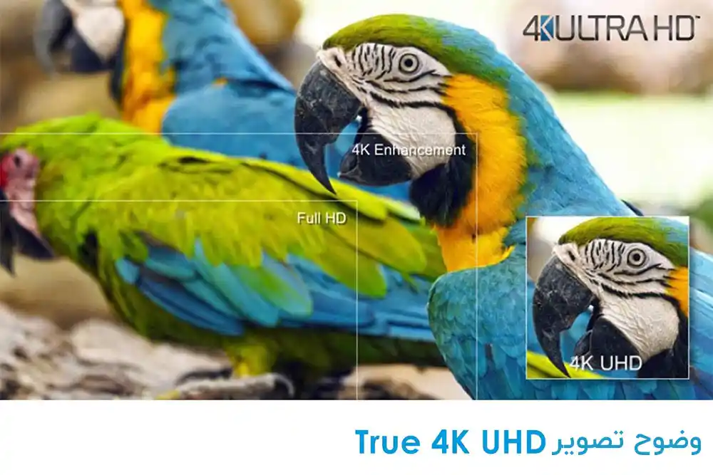 سینمای لیزری Optoma P1 4K UHD HDR