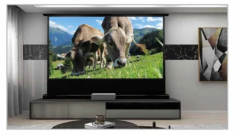 نقد و بررسی پرده نمایش ویدئو پروژکتور 120 اینچی  VividStorm