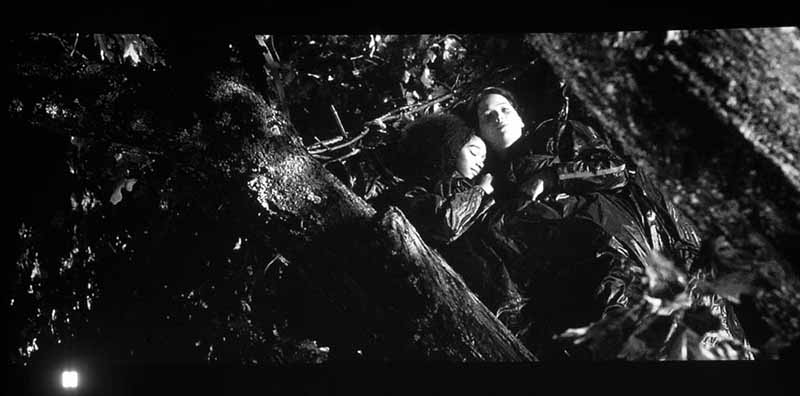 vpl-hw55es_hungergames_sleep