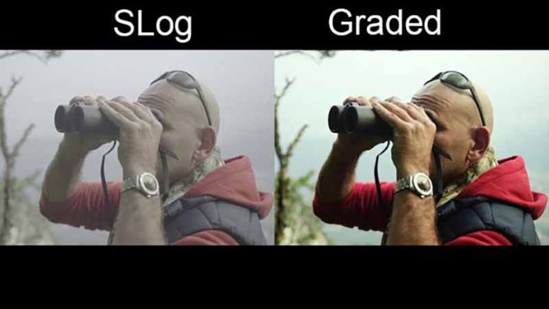 slog-vs-graded