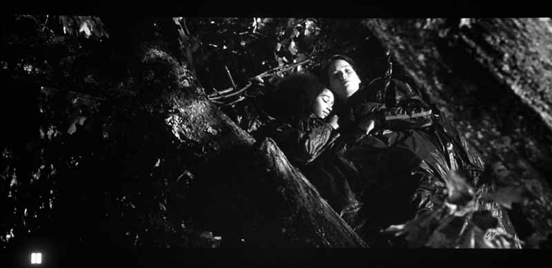 pc6030ub_hungergames_sleep_large