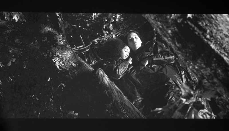 pro-cinema-4030_hungergames_sleep_large