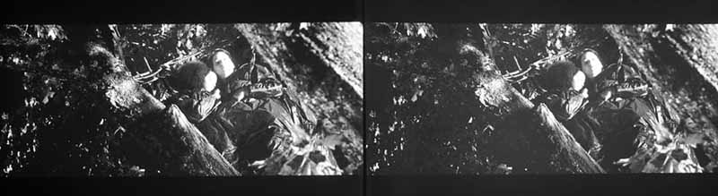 dla-x95r_vs_x35_hungergames_sleep_large