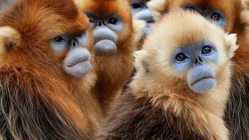 Hisense-MP2-Pro_Seven-Worlds-One-Planet