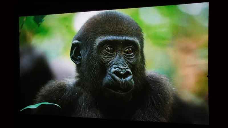 AuroraPro_MK2_Mktg_PJBProdSho_SDR2