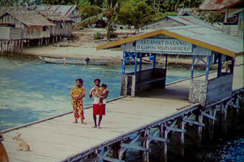 HT3550_new_south-pacific_dock_closeup