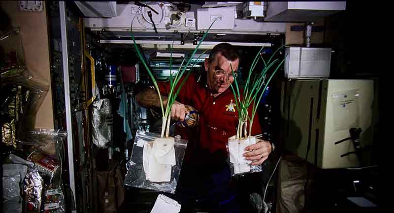 HU80KA_4K_journey_to_space_astronaut_plants