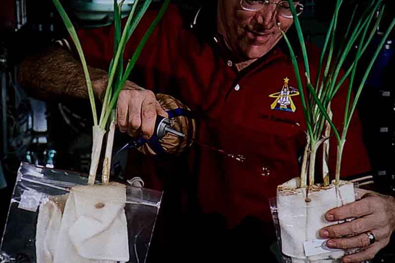 HU80KA_4K_journey_to_space_astronaut_plants_closeup
