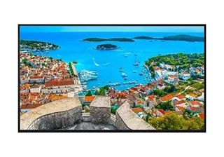 مانیتور صنعتی پاناسونیک PANASONIC TH-55SQE2W